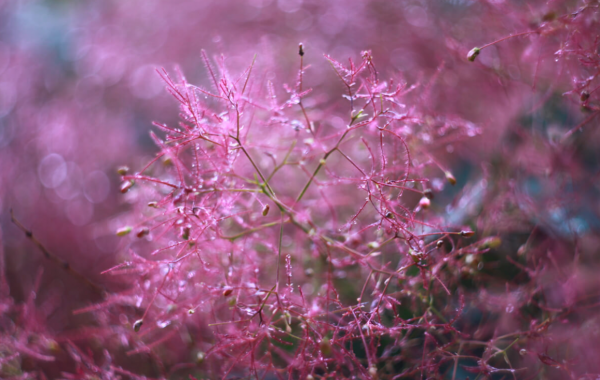 Visual Effects Design - Image 4